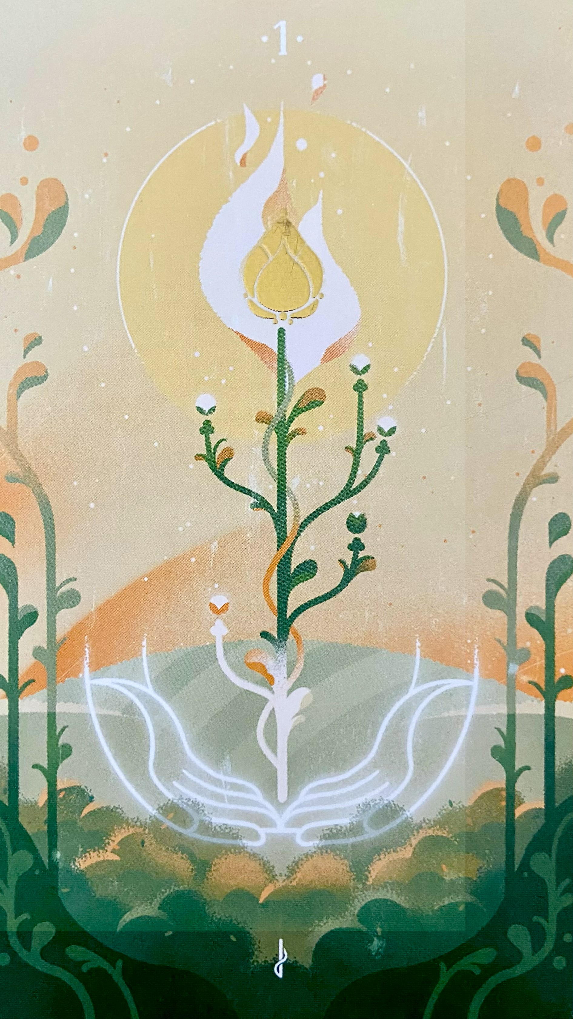 ace of wands tarot card